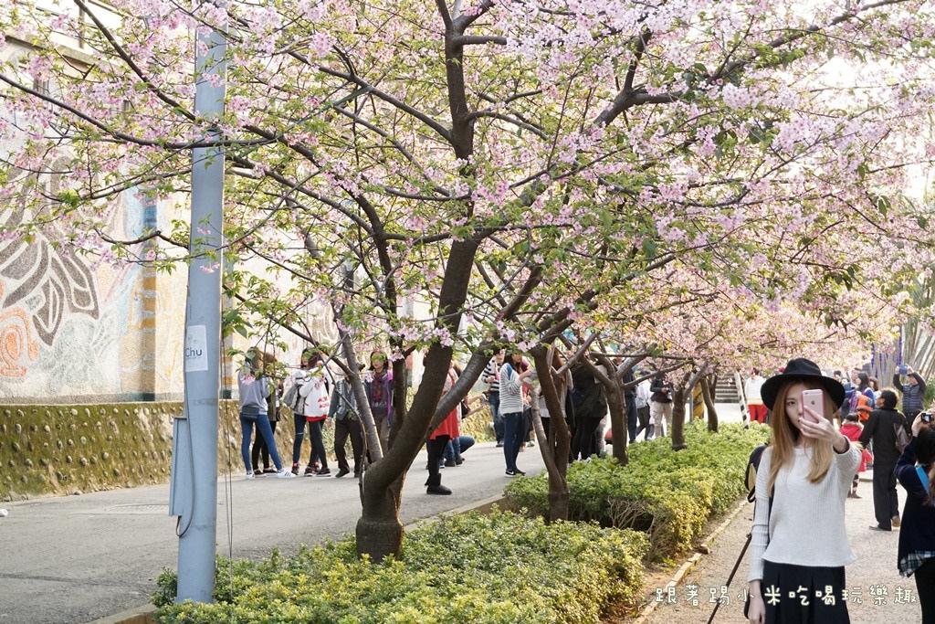 DSC00904.jpg DSC00904.jpg