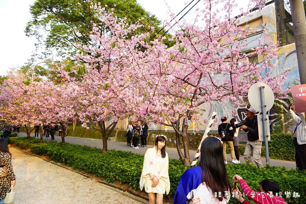 DSC00917.JPG DSC00917.JPG