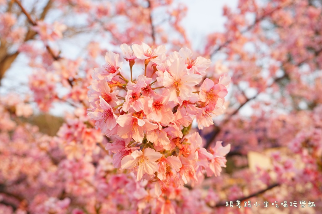 DSC00944.JPG DSC00944.JPG