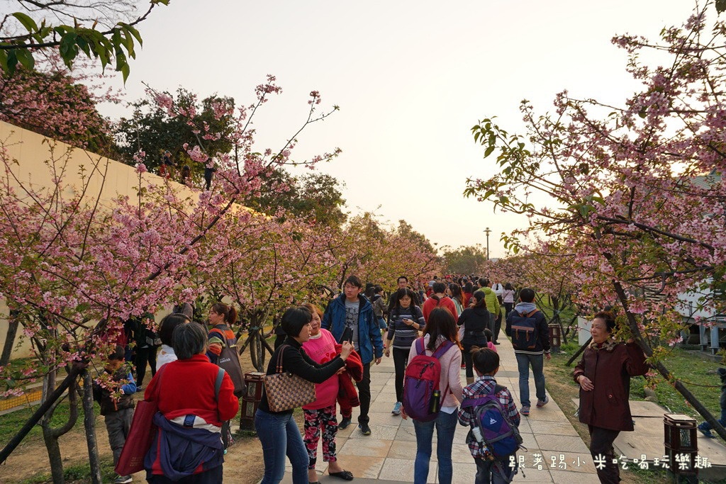 DSC00963.jpg DSC00963.jpg