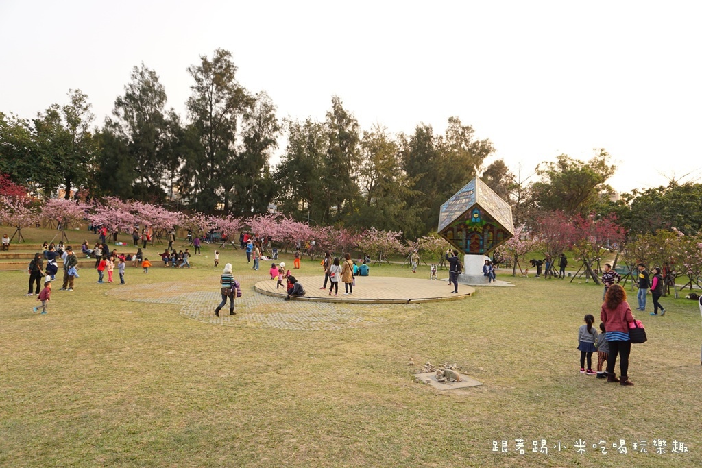 DSC00979.JPG DSC00979.JPG