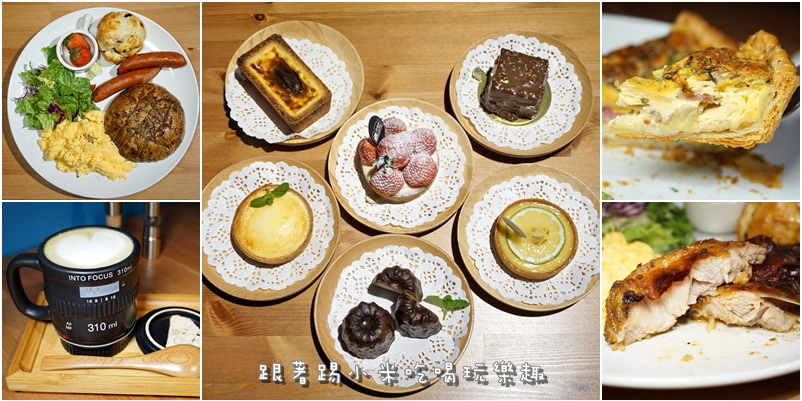 cats22.jpg cats22.jpg