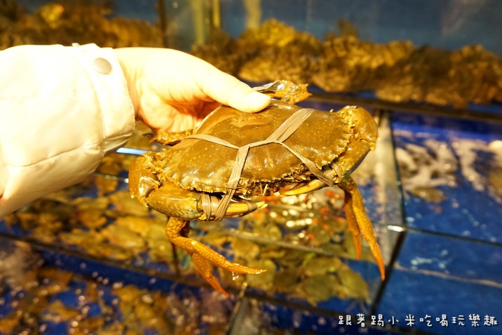 DSC00240.jpg DSC00240.jpg