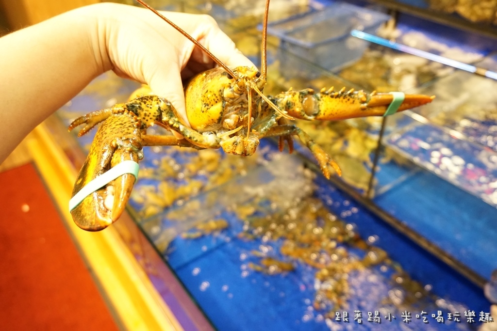 DSC00267.JPG DSC00267.JPG