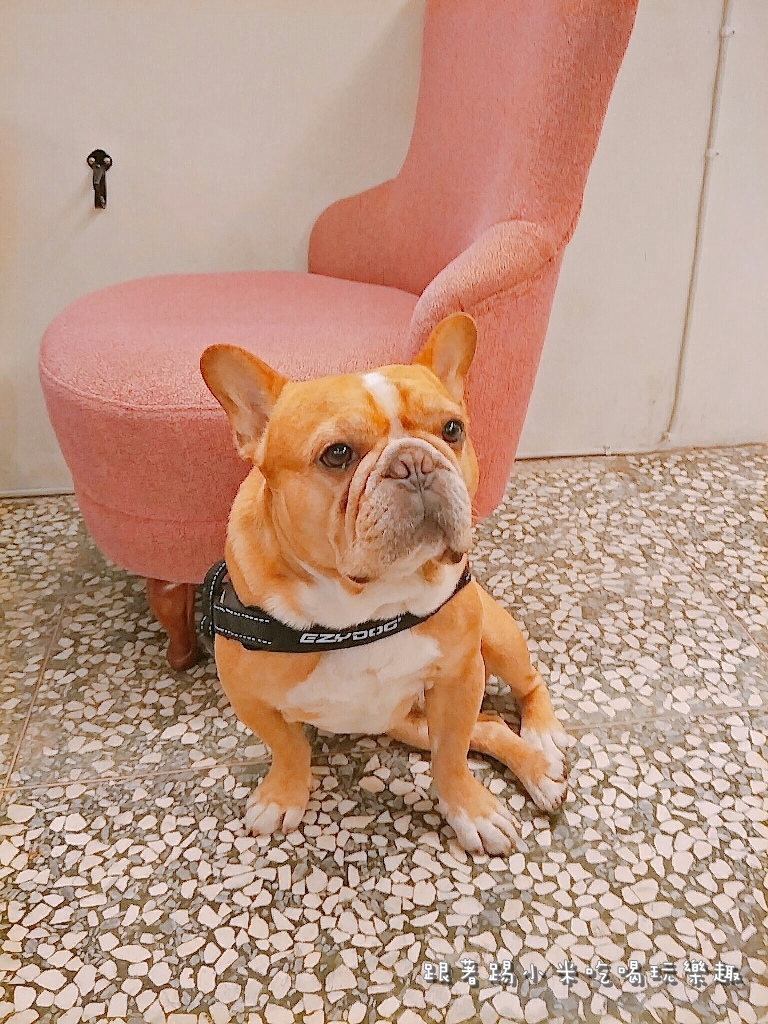 20170426 #2_170503_0003.jpg