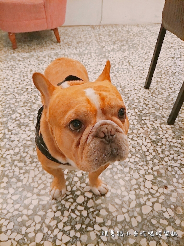 20170426 #2_170503_0004.jpg 20170426 #2_170503_0004.jpg