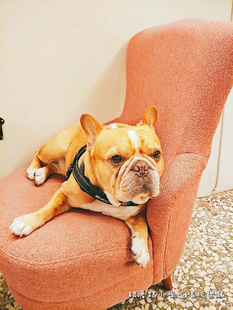 20170426 #2_170503_0028.jpg