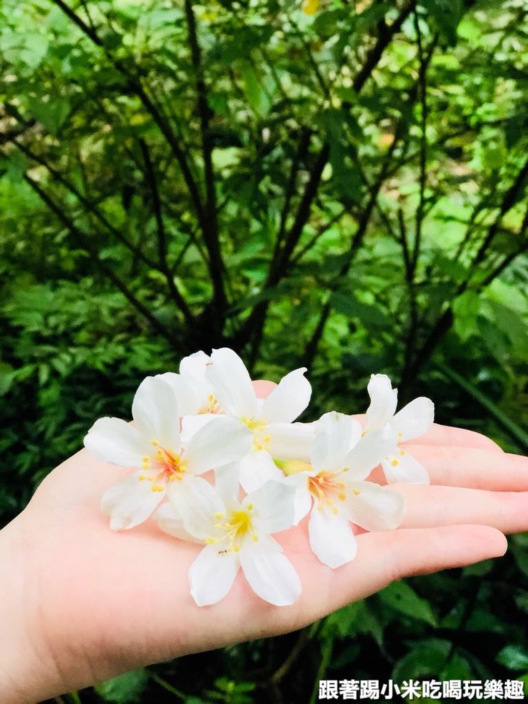 2019413_190413_0051.jpg 2019413_190413_0051.jpg