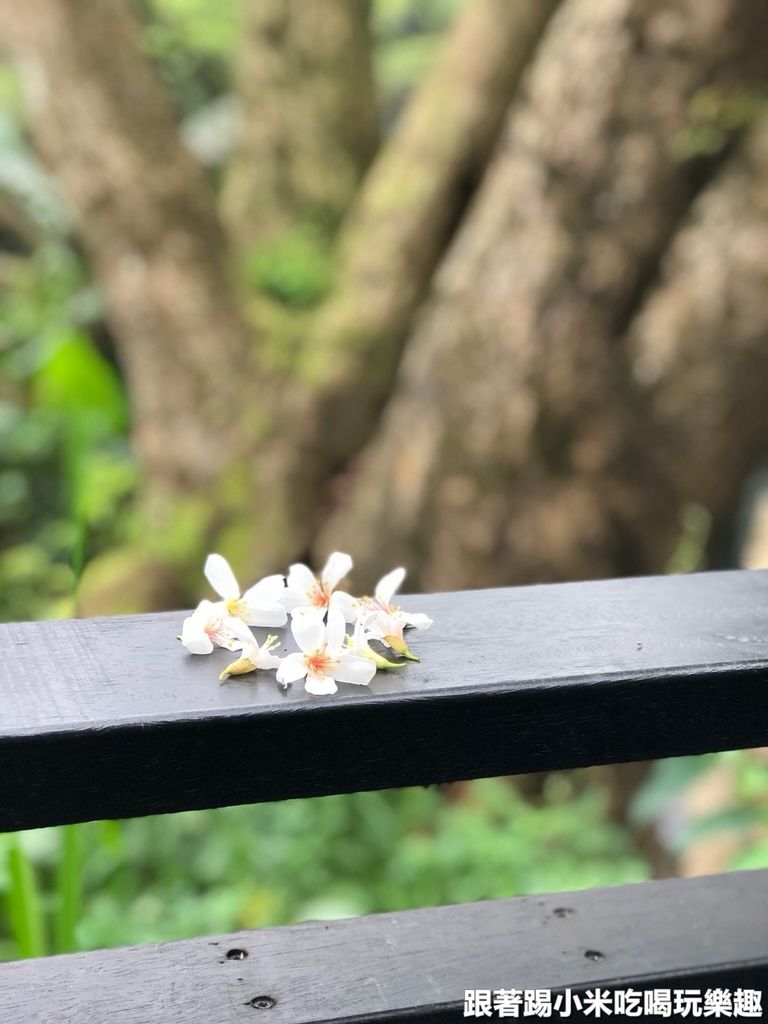 2019413_190413_0087.jpg 2019413_190413_0087.jpg