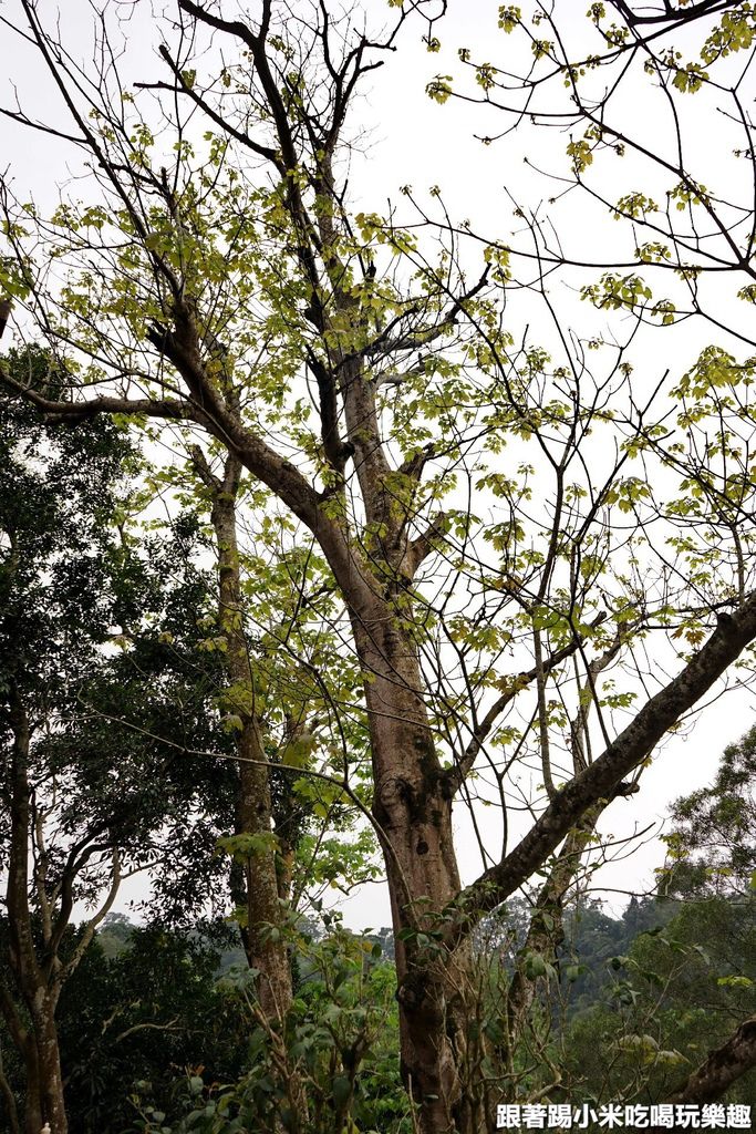 DSC05688.jpg DSC05688.jpg