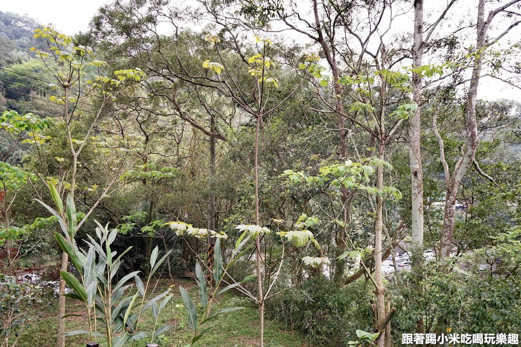 DSC05695.jpg DSC05695.jpg