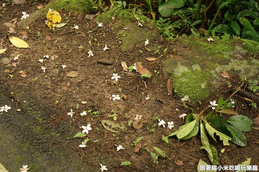 DSC05851.JPG DSC05851.JPG