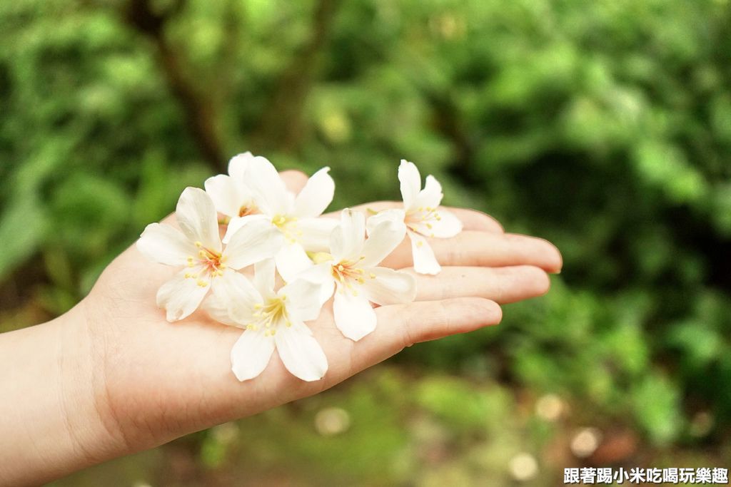 DSC05854.jpg DSC05854.jpg