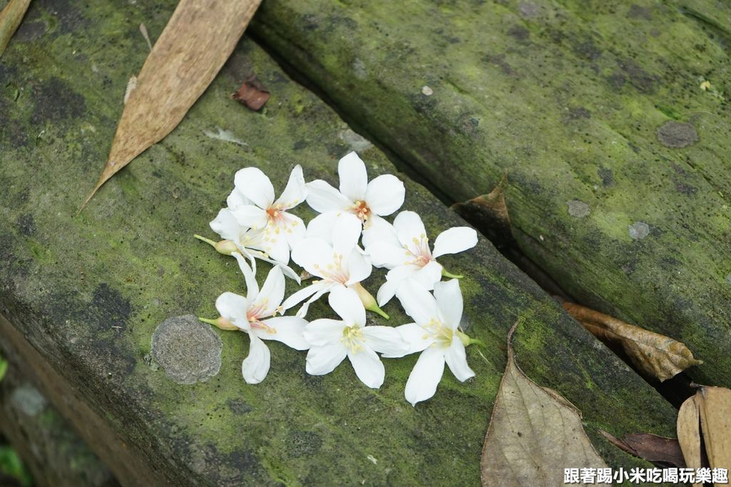 DSC05871.JPG DSC05871.JPG