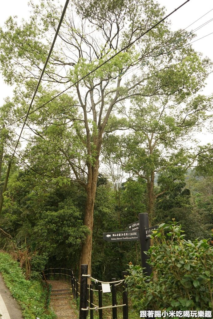 DSC05886.JPG DSC05886.JPG