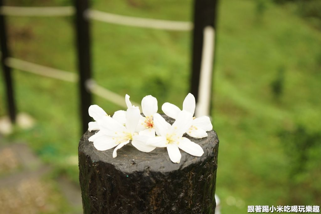 DSC05893.JPG DSC05893.JPG