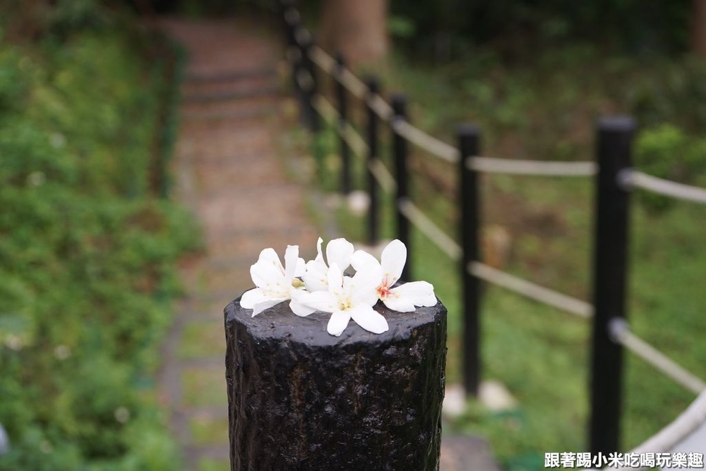 DSC05897.JPG DSC05897.JPG