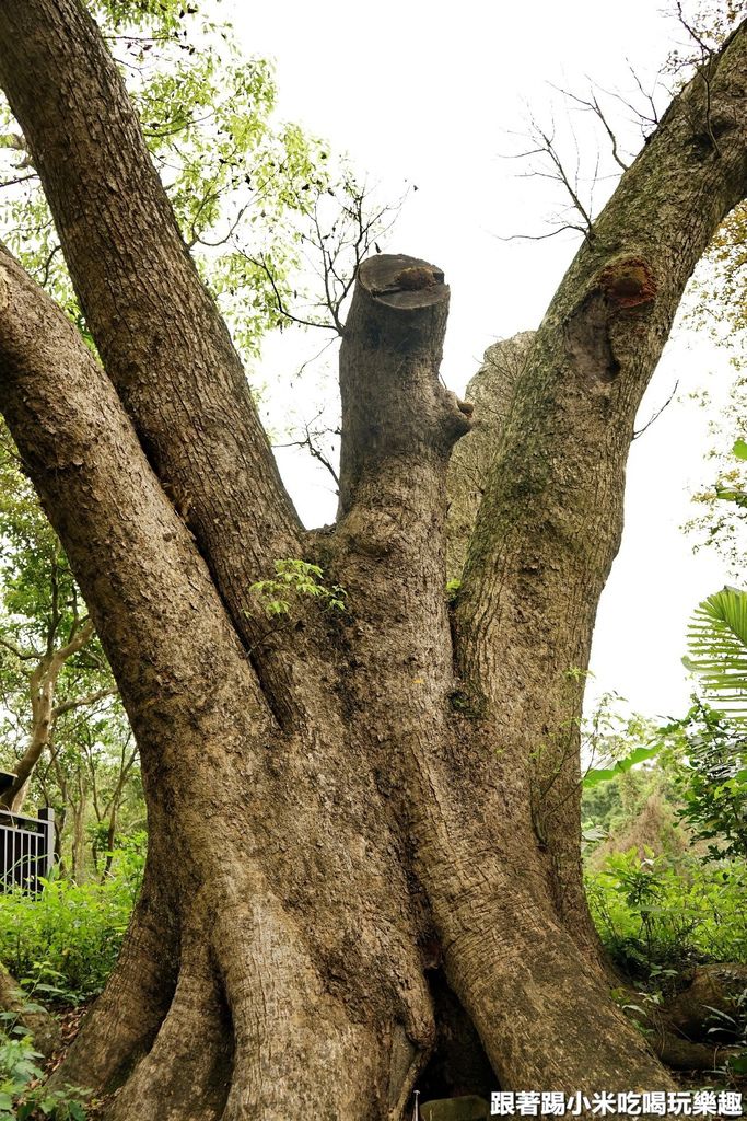 DSC05912.jpg DSC05912.jpg