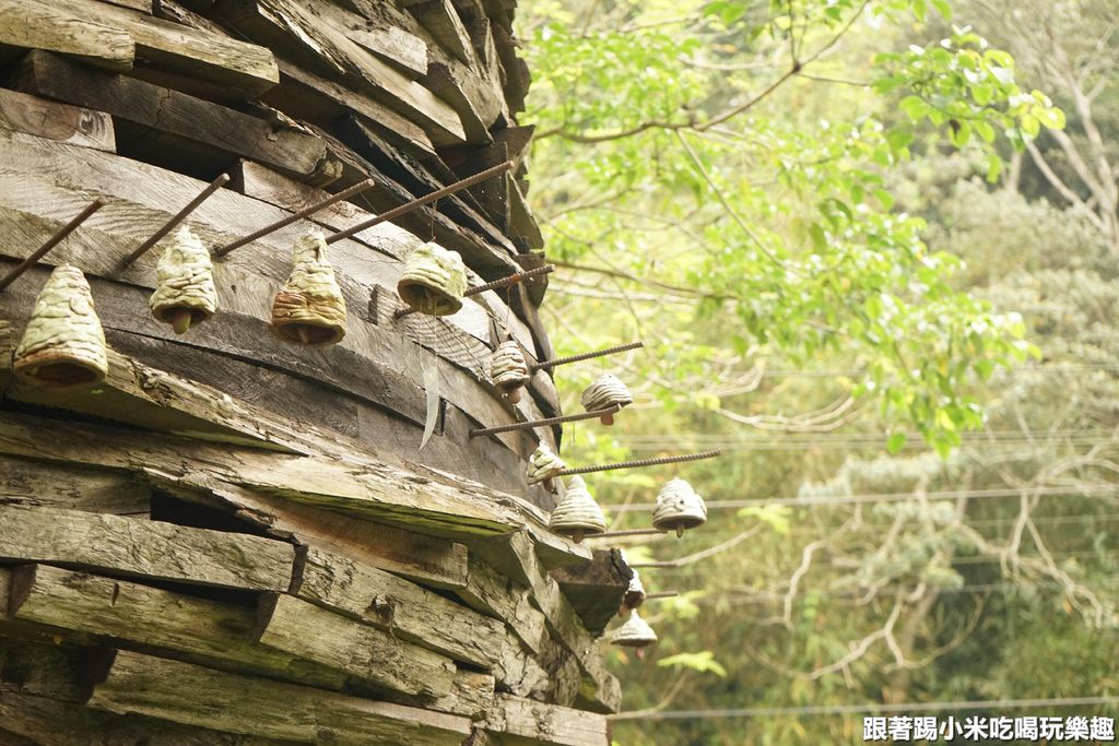 DSC06014.JPG DSC06014.JPG