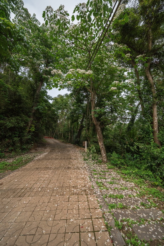 六寮古道-1.jpg 六寮古道-1.jpg