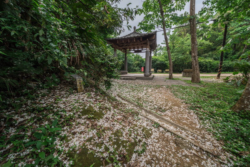 六寮古道-2.jpg 六寮古道-2.jpg