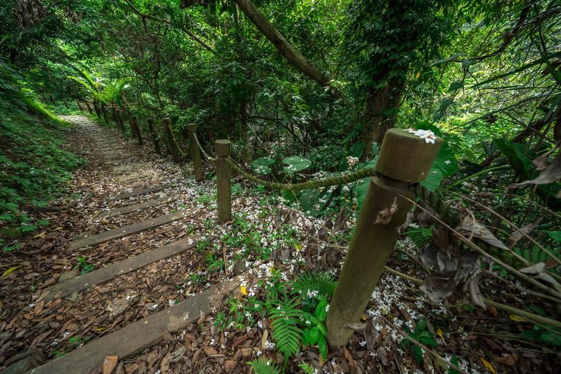 六寮古道-3.jpg 六寮古道-3.jpg