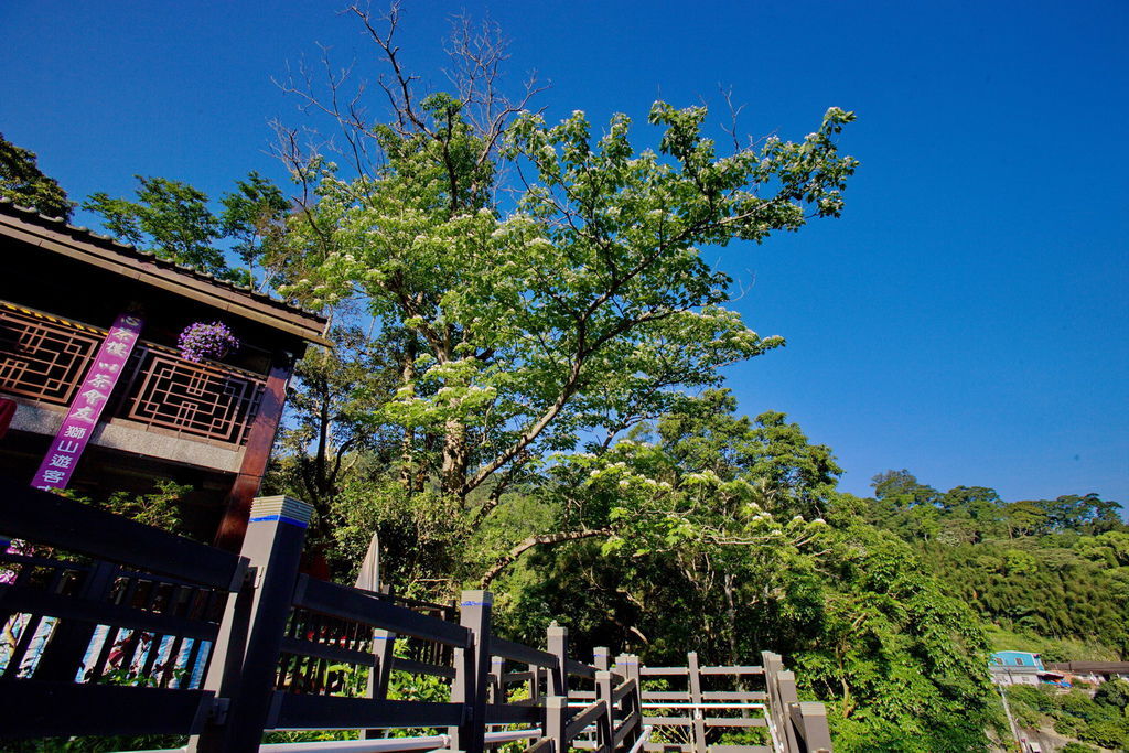 歇心茶樓-1.jpg 歇心茶樓-1.jpg