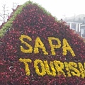 sapa3.jpg