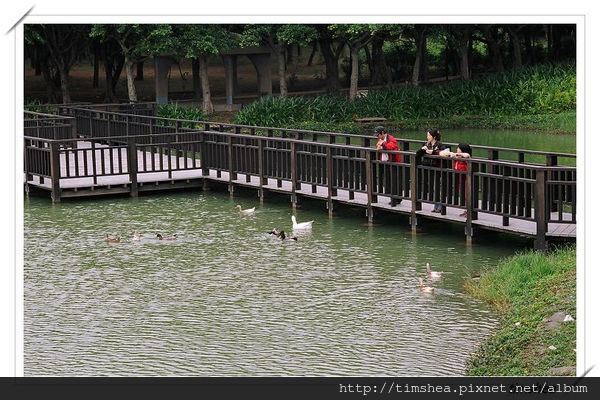 曲橋