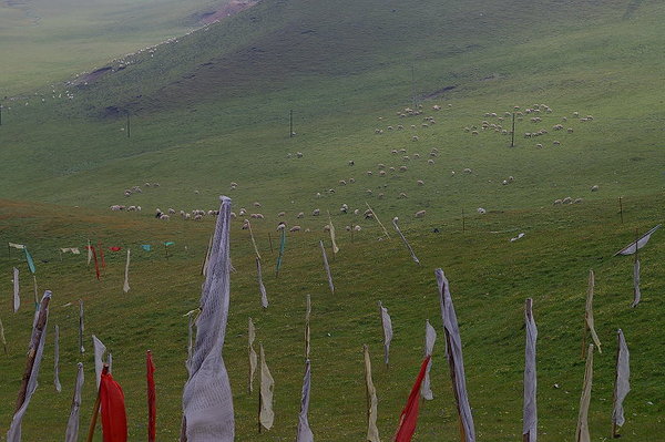 日月山