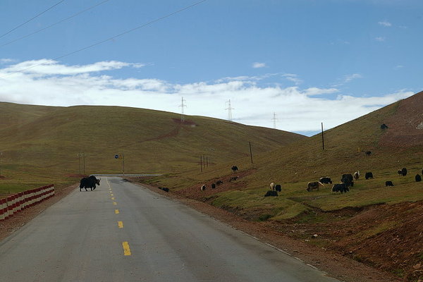 青藏公路