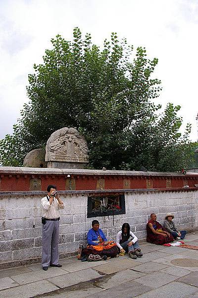 大昭寺前的公主柳