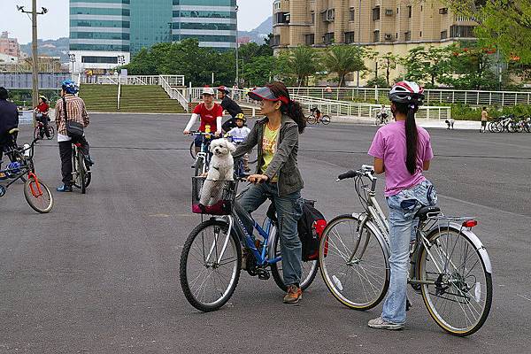 小孩與車