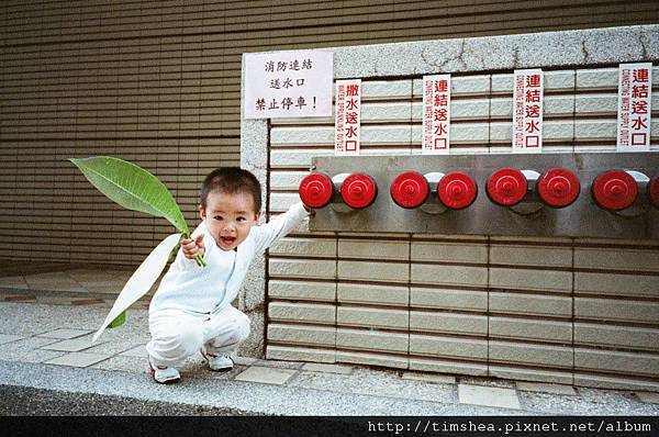 社區玩耍 社區玩耍