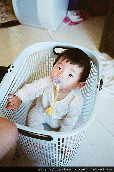 侑侑坐籃子裡 侑侑坐籃子裡