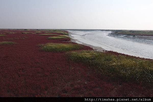 紅海灘