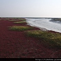 紅海灘