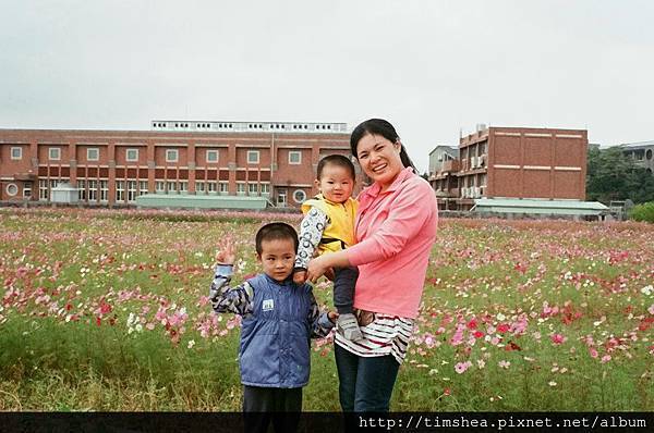 蘆竹花海 蘆竹花海