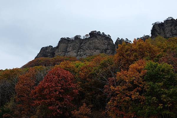 五乙女山城