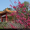 壽山巖觀音寺010