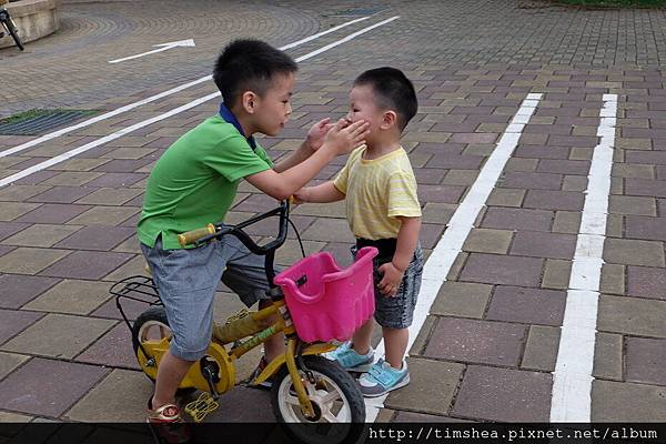 校園騎車