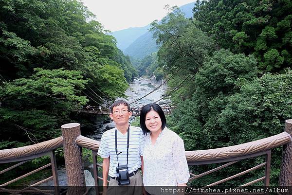 祖谷溪 藤蔓橋