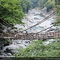 祖谷溪 藤蔓橋