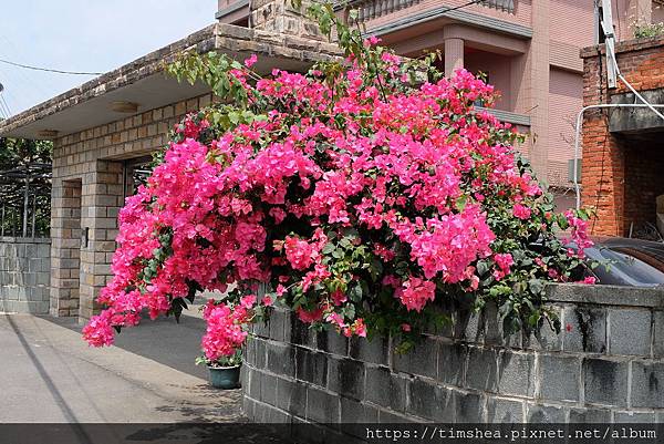 太平濱海步道18.JPG 太平濱海步道18.JPG