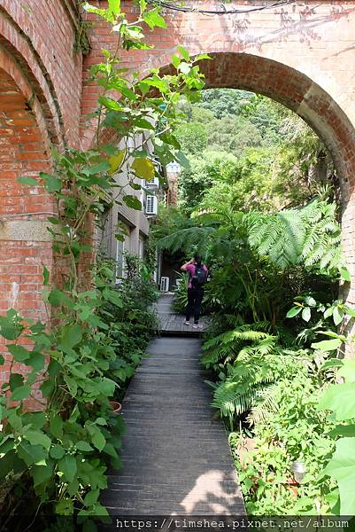 青立方農場17.JPG 青立方農場17.JPG