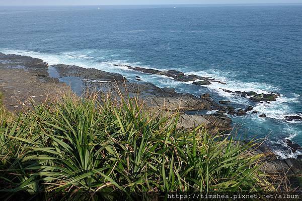 2021 鼻頭角029.jpg