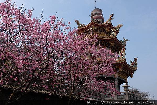 2021 竹林寺09.jpg