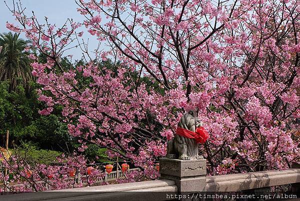 2021 竹林寺18.jpg