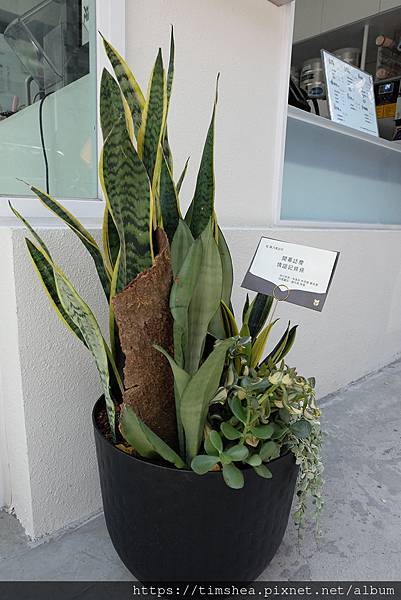 乃菁診所034.jpg 乃菁診所034.jpg