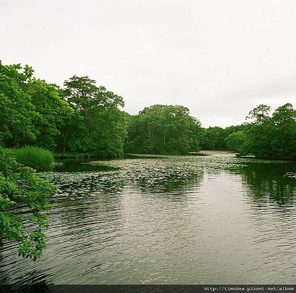 大沼公園